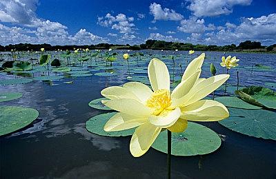 过半PS玩家认为《博德之门3》将获得TGA年度游戏大奖