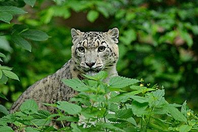 网易与Bungie合作开发《命运》系列手游《命运：崛起》正式定档 8月29号上线