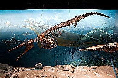 2024年赛事奖金最高的十大游戏 《DOTA2》依旧第一