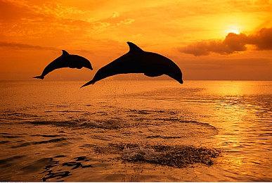 机甲JRPG《Relayer》新预告片 主线内容约40小时